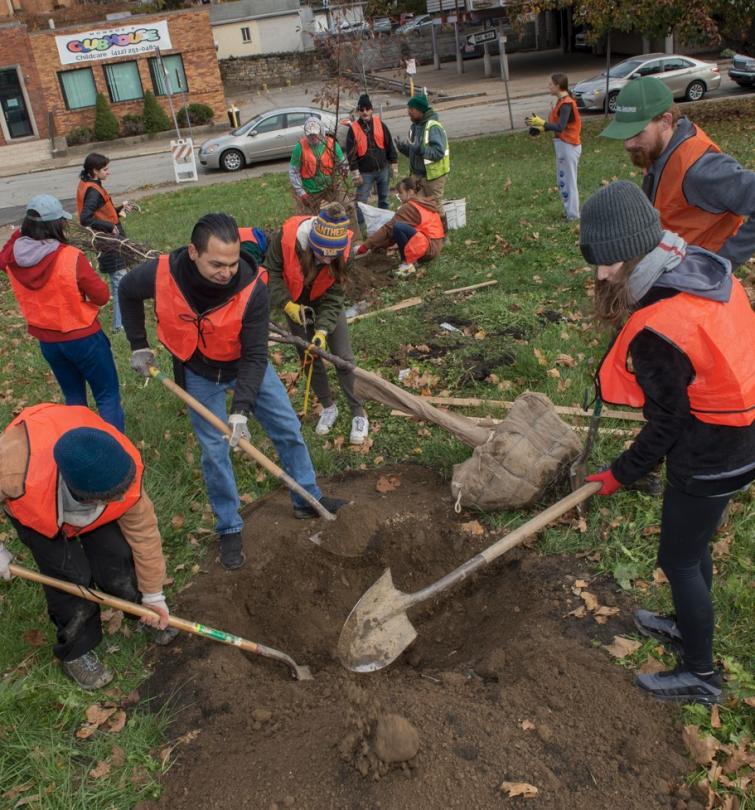 tree planting in oakland